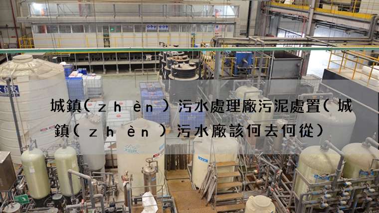 城鎮(zhèn)污水處理廠污泥處置(城鎮(zhèn)污水廠該何去何從)